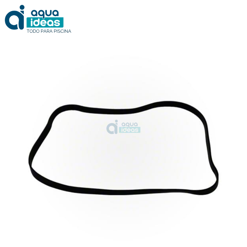 ORING-PARA-TAPA-DE-TRAMPA-SUPER-PUMP-SPX1600S | AQUAIDEAS